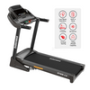 Endurance Attack Treadmill